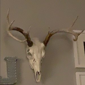 Meet your Posher, Jarrod